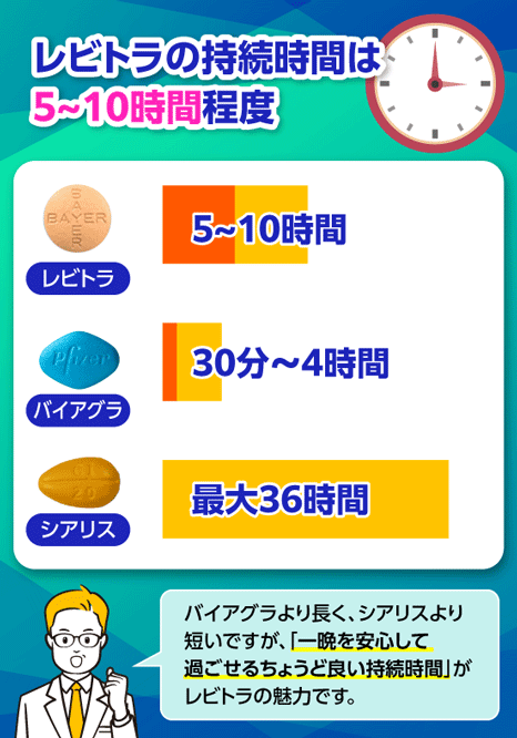 レビトラの持続時間について示す画像